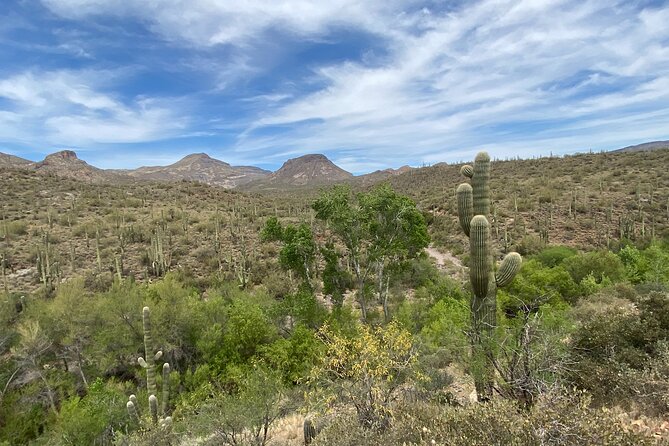 1-2 Hour Jewel of the Creek Private Guided Hiking Tour - The Sum Up