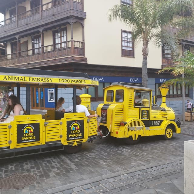 1-2 Hour Walking Route Through Puerto De La Cruz, Tenerife - Along the Pier of Puerto De La Cruz
