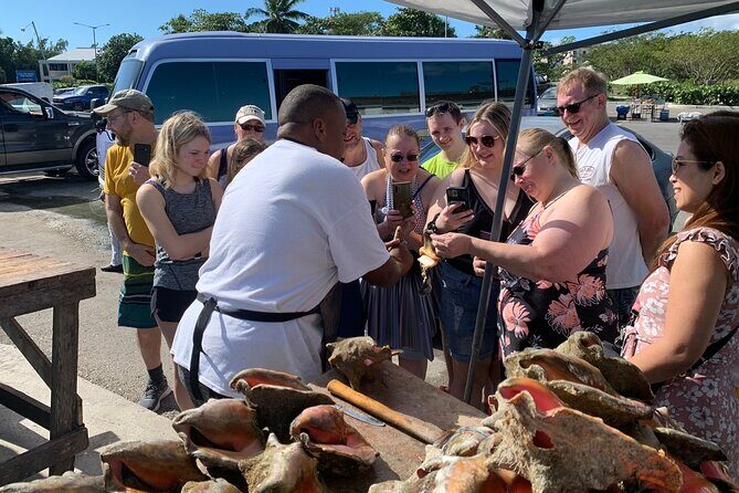 1.5 Hour Bahamas Special City Tour and Nassau City Tour Package - A Closer Look at the Nassau City Tour Experience