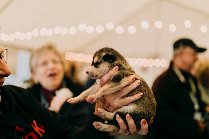1.5-Hour Beer and Puppies Guided Experience in Fairbanks - Good To Know