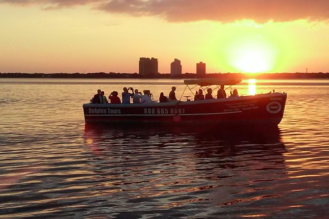 1.5-Hour Dolphin Sightseeing Cruise From Tampa - Overview of the Dolphin Sightseeing Cruise