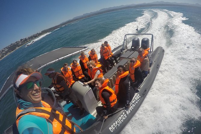 1.5-Hour Seal Viewing Boat Tour in Plettenberg Bay - Traveler Photos and Reviews