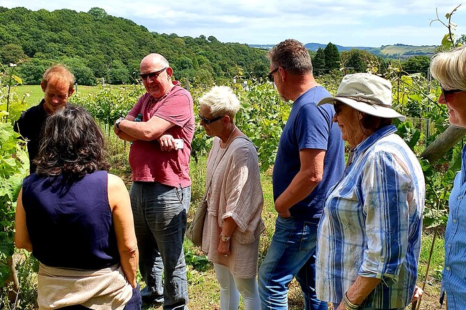 1.5-Hour Swanaford Vineyard Tour And Tasting Experience - Meeting and Pickup