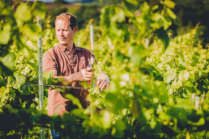 1.5-Hour Swanaford Vineyard Tour And Tasting Experience - Additional Information
