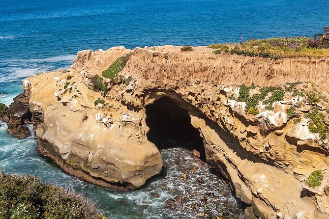 1.5 Hour Walking Tour From La Jolla in San Diego - Tour Overview
