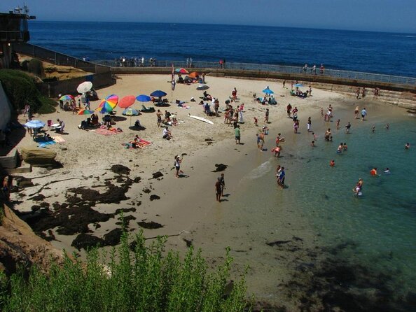 1.5 Hour Walking Tour From La Jolla in San Diego - Pricing and Duration