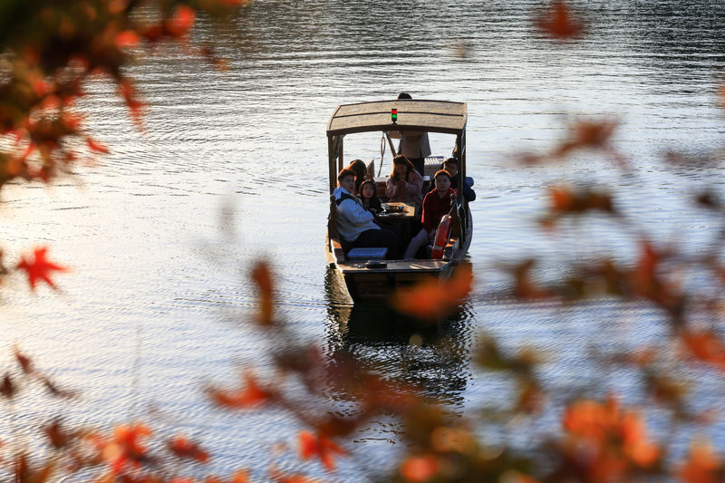 1.5-hour West Lake Secret Realm: Rowboat/Hand-rowed Boat Charter + Tea Tasting + Private Guided Tour Service - Key points before you book
