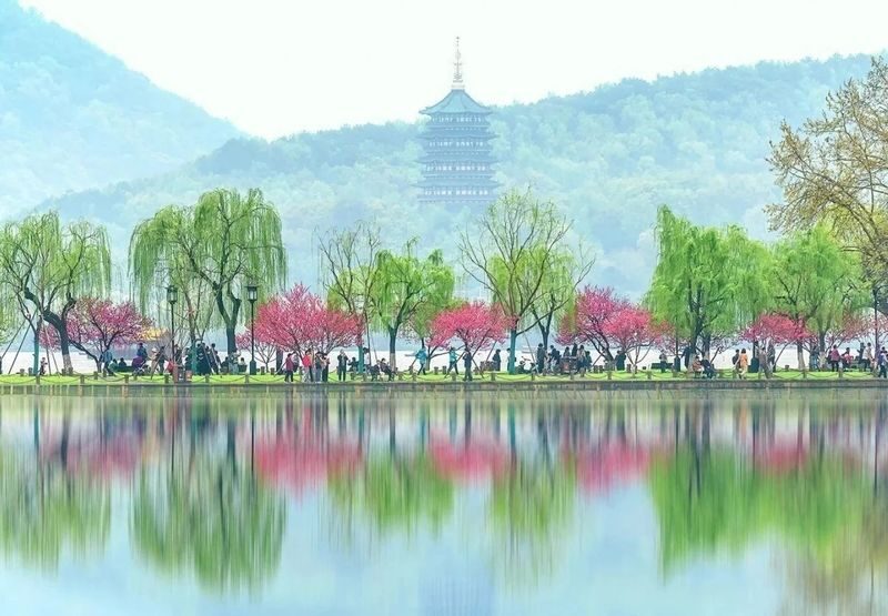1.5-hour West Lake Secret Realm: Rowboat/Hand-rowed Boat Charter + Tea Tasting + Private Guided Tour Service - A quieter look at West Lake from the water