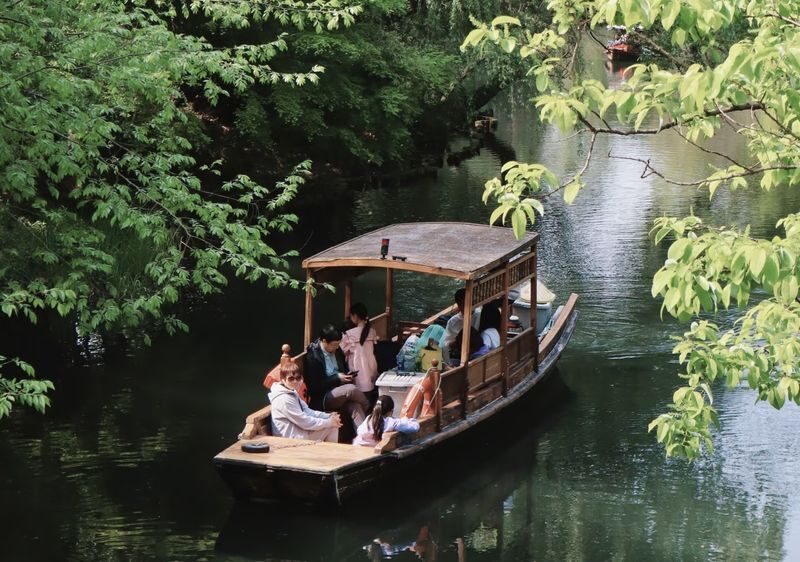 1.5-hour West Lake Secret Realm: Rowboat/Hand-rowed Boat Charter + Tea Tasting + Private Guided Tour Service - Tea, rowing, and optional guzheng music
