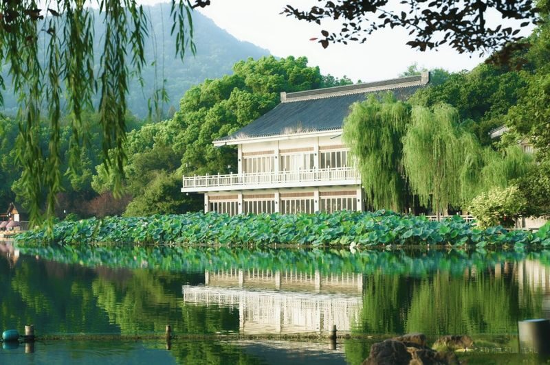 1.5-hour West Lake Secret Realm: Rowboat/Hand-rowed Boat Charter + Tea Tasting + Private Guided Tour Service - What the price buys