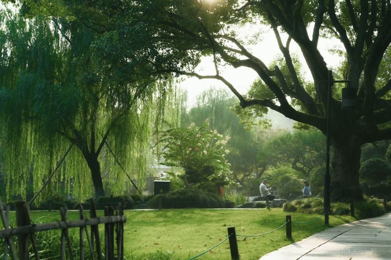 1.5-hour West Lake Secret Realm: Rowboat/Hand-rowed Boat Charter + Tea Tasting + Private Guided Tour Service - Who will enjoy this outing most