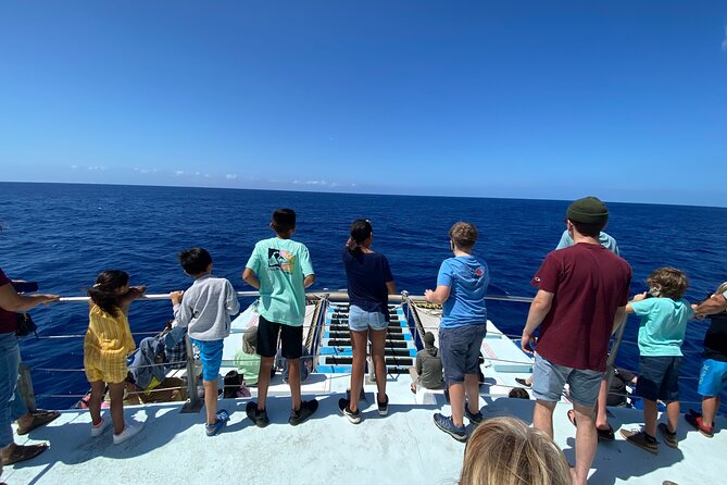 1.5 Hour Whale Watching Cruise With Pick-Up and Drop-Off - Viator Information and Terms and Conditions