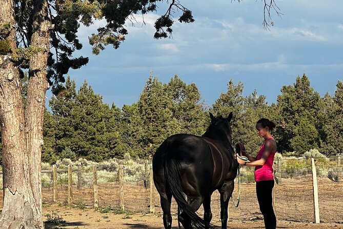 1.5 Hours Private Meditations With the Horses in Oregon - Activity Overview