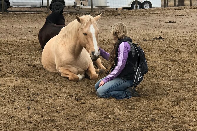 1.5 Hours Private Meditations With the Horses in Oregon - Inclusions and Exclusions