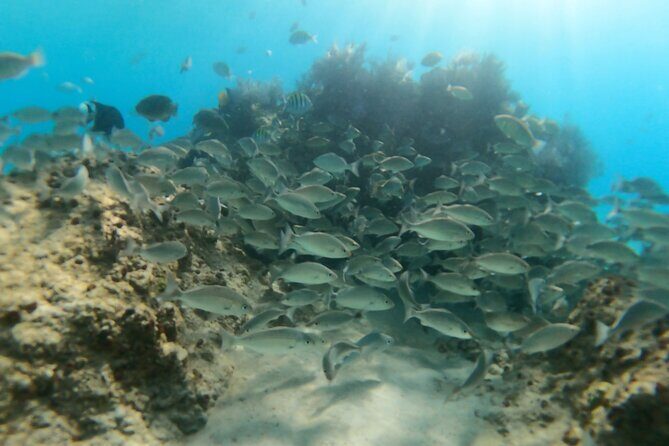 #1 Beach in La Paz BALANDRA Perfect For Cruise Groups or Families - Introduction