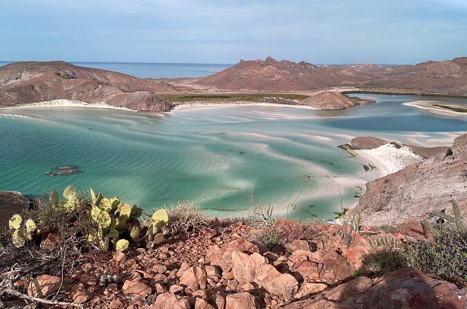 #1 Beach in La Paz BALANDRA Perfect For Cruise Groups or Families - The Sum Up: Who Is This Tour Best For?