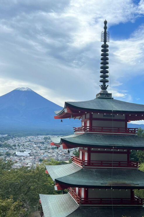 1 Day 10 Hrs Mt Fuji & Lake Kawaguchiko Tour With Eng Driver - Pickup and Transportation Details
