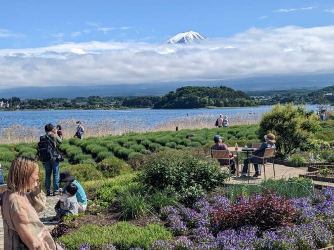 1 Day 10 Hrs Mt Fuji & Lake Kawaguchiko Tour With Eng Driver - Itinerary Highlights
