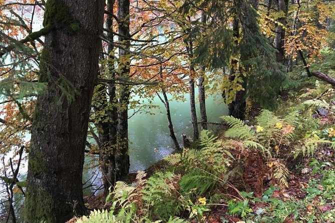 1 Day 4x4 Tour in Carpathian Mountains - Meet the Tour Guides