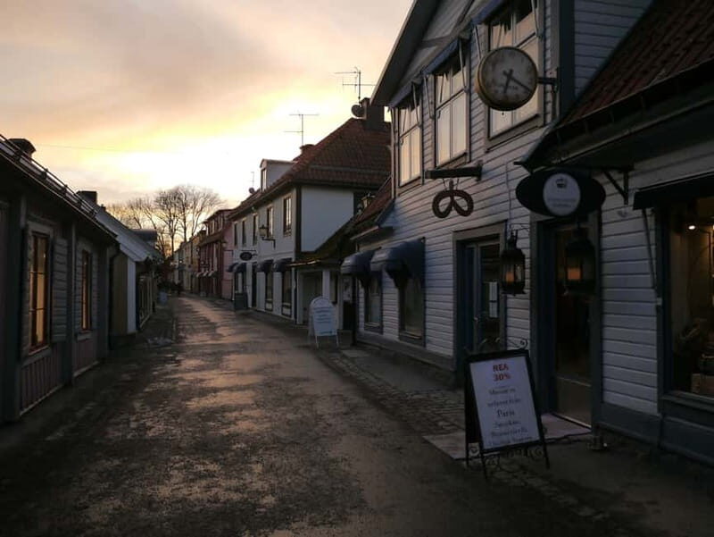 1-day 7h Royal Palace and Castle Tour from Stockholm - Transportation and Comfort