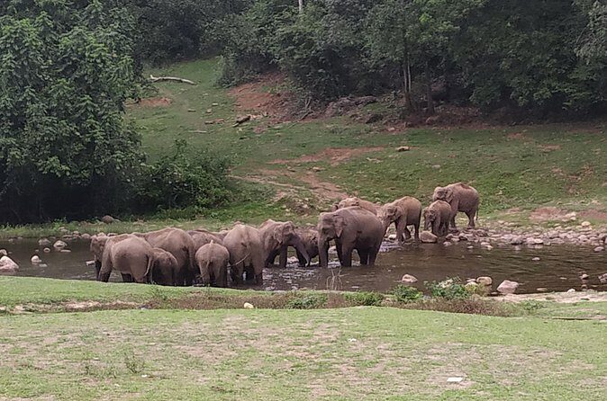 1 Day Activity Adventure Trekking Kerala - Value and Practicality: Is It Worth It?