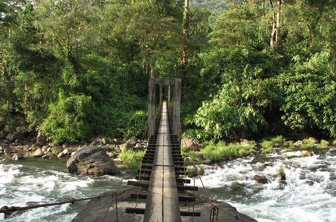 1 Day Activity Adventure Trekking Kerala - The Sum Up