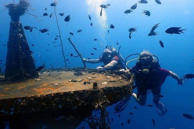 1-Day Adventure in Diving - What Makes the 1-Day Adventure in Diving Stand Out