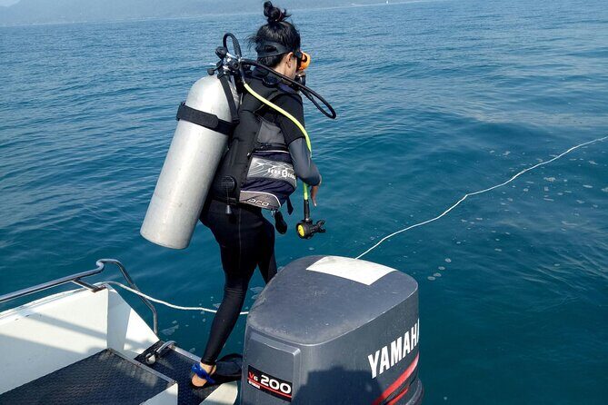 1-Day Adventure in Diving - Logistics and Practicalities