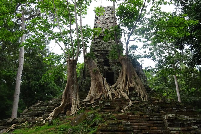 1-Day Amazing Angkor Wat Tour With Sunrise & All Interesting Major Temples - Traveler Photos and Reviews