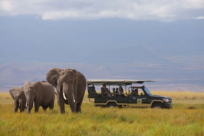 1-Day Amboseli Safari - Booking and Confirmation Details