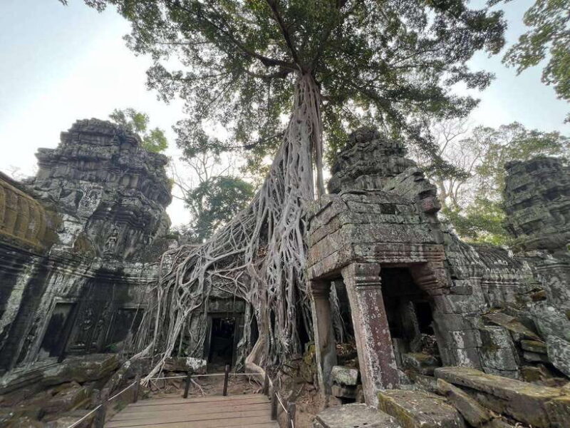 1-Day Angkor Wat Private Tour with Spanish Tour Guide. - The Authentic Experience: Insights from Reviews