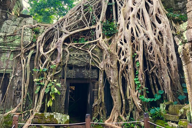 1 Day Angkor Wat Tour - Pricing and Payment Options