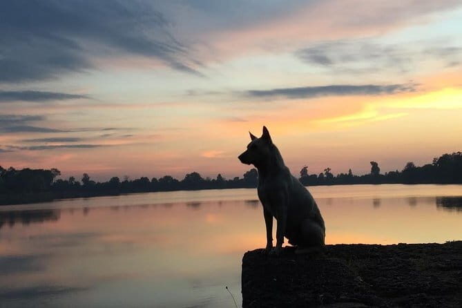 1 Day Angkor Wat with Sunrise Tour - Transportation and Comfort