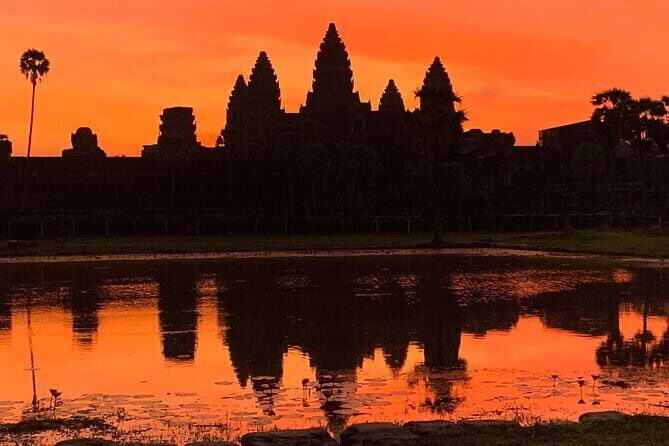 1 Day Angkor Wat with Sunrise Tour - What Makes This Tour Stand Out?