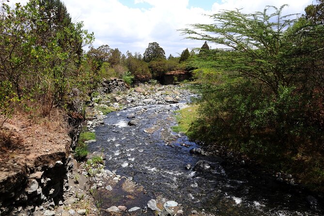 1 Day Arusha National Park (Game Drive and Walking Safari). - Scenic Walking Trails