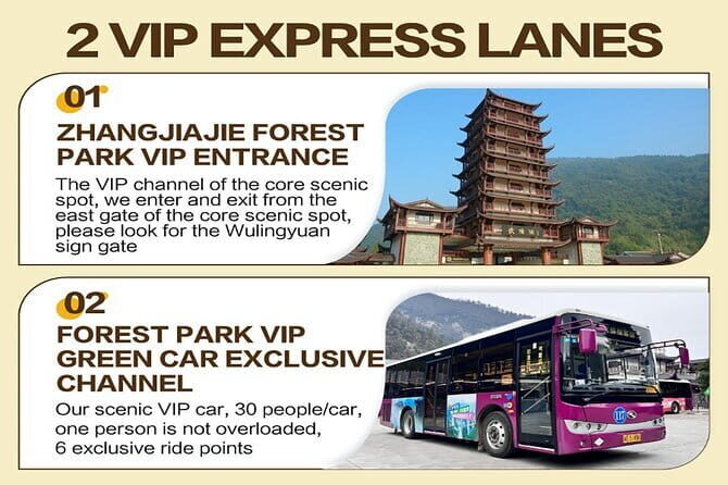 1 Day Avatar Mountain & Fores Park Group Tour with VIP Access - What Reviewers Say