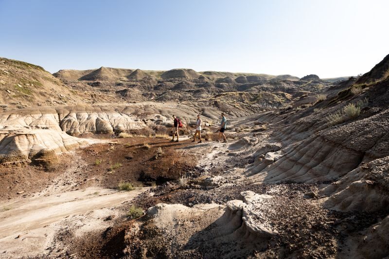 1 Day Bad Land & Dinosaur Museum Tour - Leaving Calgary at 8:00