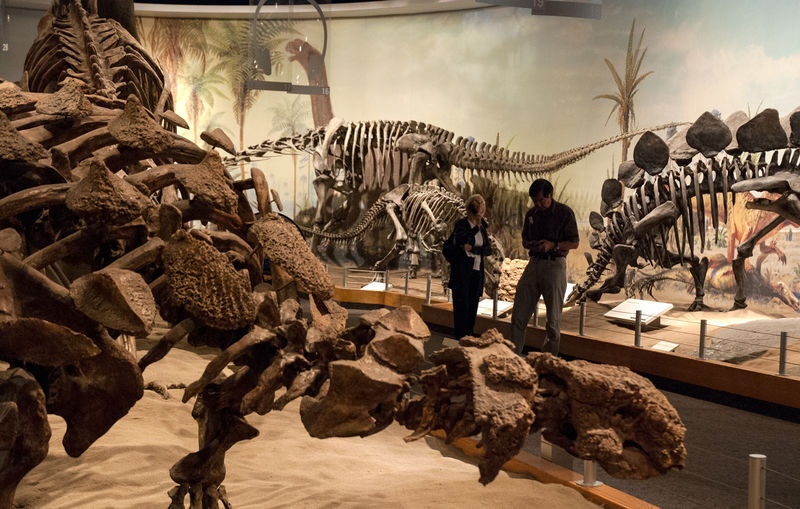 1 Day Bad Land & Dinosaur Museum Tour - Giving the Royal Tyrrell Museum its due