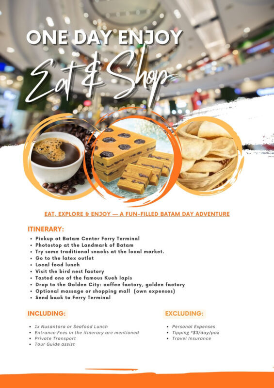 1 Day Batam City Private Tour - Barelang views and the high-tea choices