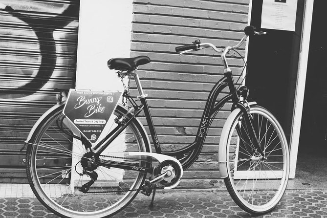 1 Day Bike Rental in Seville City - Additional Information and Resources