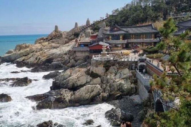 1-Day Busan Culture, History and Local Experience - Additional Information