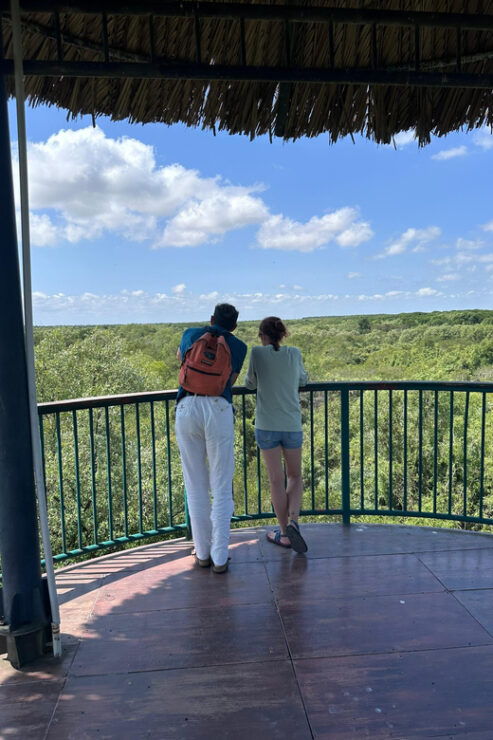 1-Day Can Gio Island- Mangrove Biosphere Reserve With Lunch - Itinerary Highlights