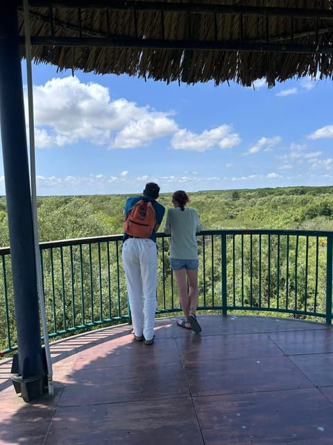 1-Day Can Gio Island- Mangrove Biosphere Reserve With Lunch - Pricing and Group Size