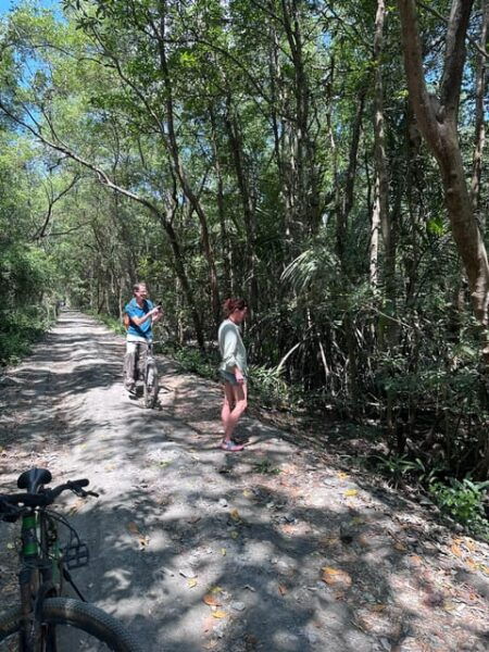 1-Day Can Gio Island- Mangrove Biosphere Reserve With Lunch - Transportation Details