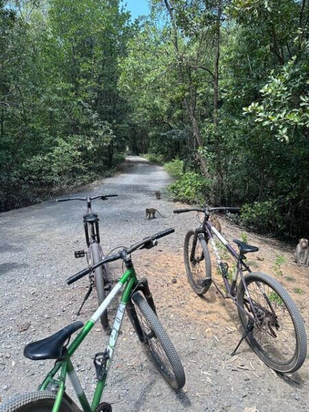 1-Day Can Gio Island- Mangrove Biosphere Reserve With Lunch - What to Bring