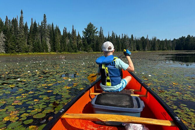 1 Day Canoeing Tour in Algonquin Park - Introduction