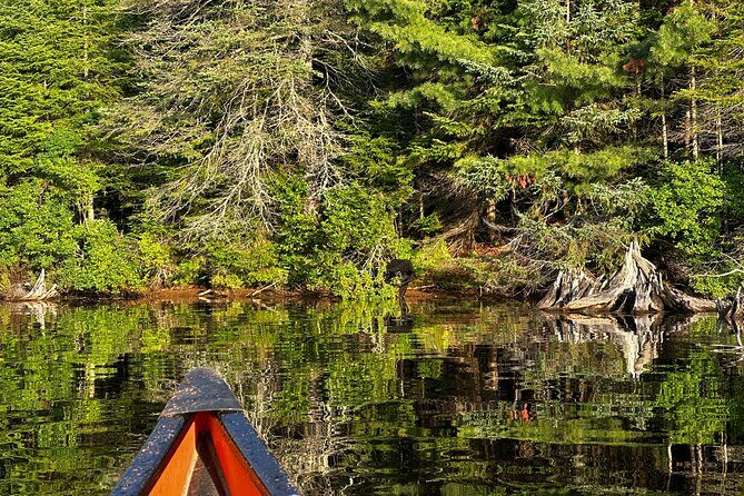 1 Day Canoeing Tour in Algonquin Park - Meeting Points and Schedule