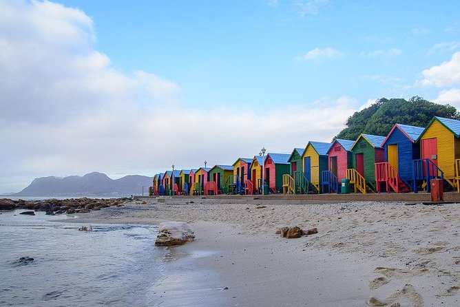 1 Day Cape Peninsula and Boulders Tour With Private Transfers - Convenient Pickup and Drop-off Locations