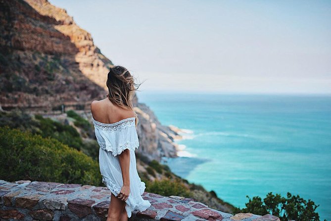 1 Day Cape Point and Constantia Wine Tour With Private Transfers - Tour Highlights and Itinerary