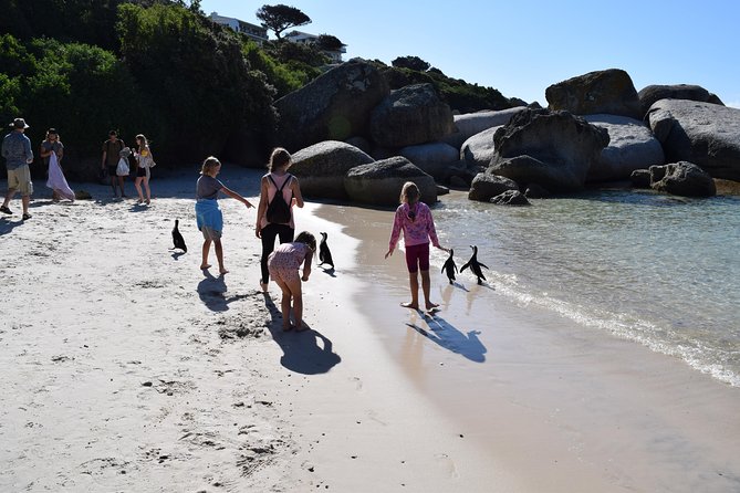 1 Day Cape Point and Constantia Wine Tour With Private Transfers - Common Questions